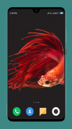 Betta Fish Wallpapers 4K screenshot 3