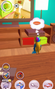 My Talking Parrot screenshot 21