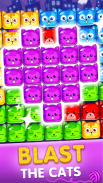 Pop Cat-Bubble Cat Games screenshot 1