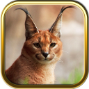 Free Wild Cats Puzzles Icon