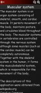 Muskulöses System in 3D (Anatomie). screenshot 18