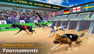 Dog Race - Online Game - Play for Free