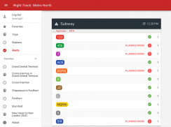 Right Track: Metro North screenshot 11