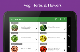 Gemüsegarten - Yum garten screenshot 8