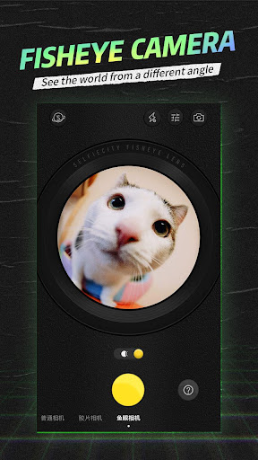 selfiecity camera app download