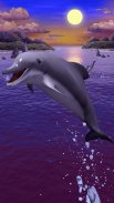 Dolphins live wallpaper screenshot 1