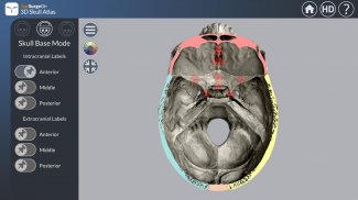3D Skull Atlas screenshot 2