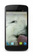 Cute Dog Licks Screen HD LWP screenshot 0