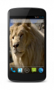 White Lion Video Wallpaper screenshot 1