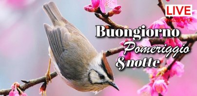 Buon mattino a notte amore