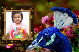 Peacock Photo Frames screenshot 3