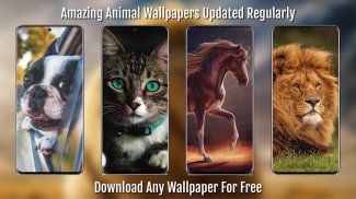 Animal Wallpapers Full HD / 4K screenshot 7