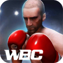 Boxing King -  Star of Boxing Icon