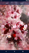 Sakura Flower Live Wallpaper screenshot 7