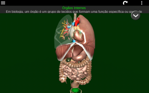 Órgãos Internos em 3D (Anatomia) screenshot 8