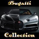 Bugatti Collection Icon