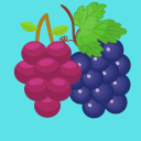 Sort the Grapes