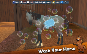 Horse Racing World Jumping 3D screenshot 6