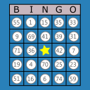 Classic Bingo Touch Icon