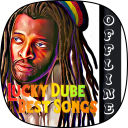 Lucky Dube Best Songs Offline