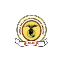 SNBP International School Wagholi