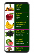 Learn Tamil From English Pro screenshot 8