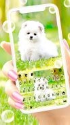 Cute White Puppy Keyboard Background screenshot 3