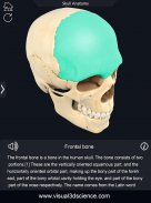 Skull Anatomy Pro. screenshot 8