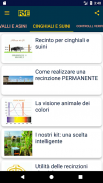 Blog electric fence Italian screenshot 0