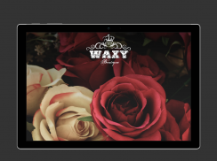Waxy Boutique screenshot 6