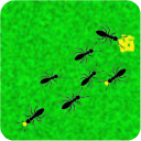 Ant Simulator