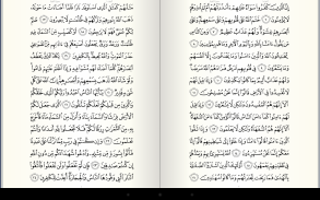 Read Listen Quran  قرآن كريم screenshot 6