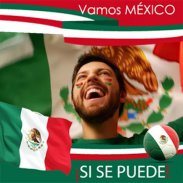 Mexico flag photo editor screenshot 4