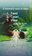 Axolotl Pet screenshot 7