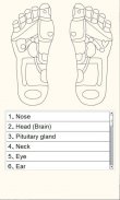 Reflexology foot massage chart screenshot 2