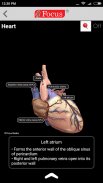 HEART - Digital Anatomy Atlas screenshot 7