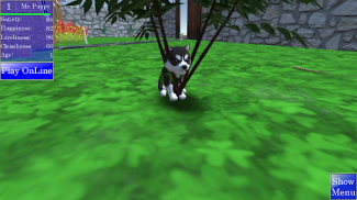 Cute Pocket Puppy 3D screenshot 4