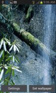 Nature Forest Waterfall LWP screenshot 0