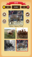 Horse Quiz screenshot 0