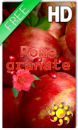 Fruit Pomegranate LWP screenshot 0