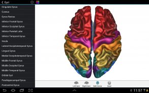 Brain Tutor 3D screenshot 1