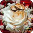 Love Roses Gift live wallpaper