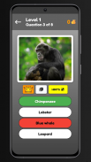 Animals Quiz screenshot 0