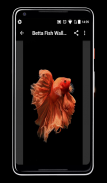 Betta Fish Wallpaper screenshot 2