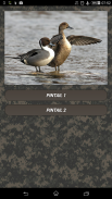 Duck hunting calls screenshot 0