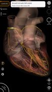 Anatomy 3D Atlas screenshot 15