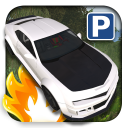 3D Muscle Car Parking Icon