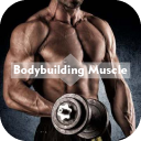 Bodybuilding Muscle Training