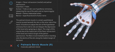 Visual Anatomy 3D | Human screenshot 8