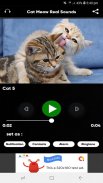 Cat Meow Real Sounds screenshot 6